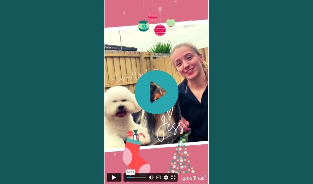 Our video Christmas card to you