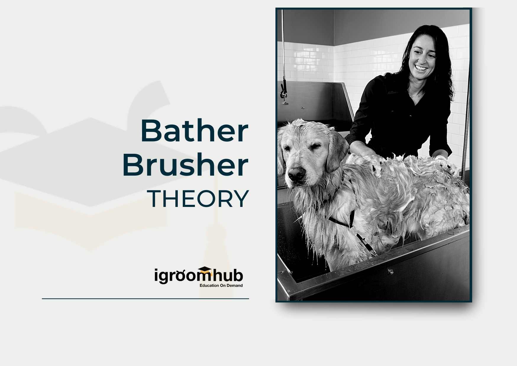 Bather brusher theory, igroomhub