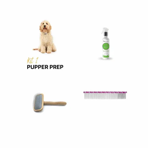 How Do You Learn to Groom Dogs: Expert Tips for Beginners