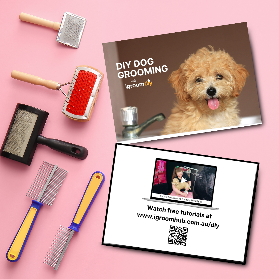 How to Brush Your Dog Postcards