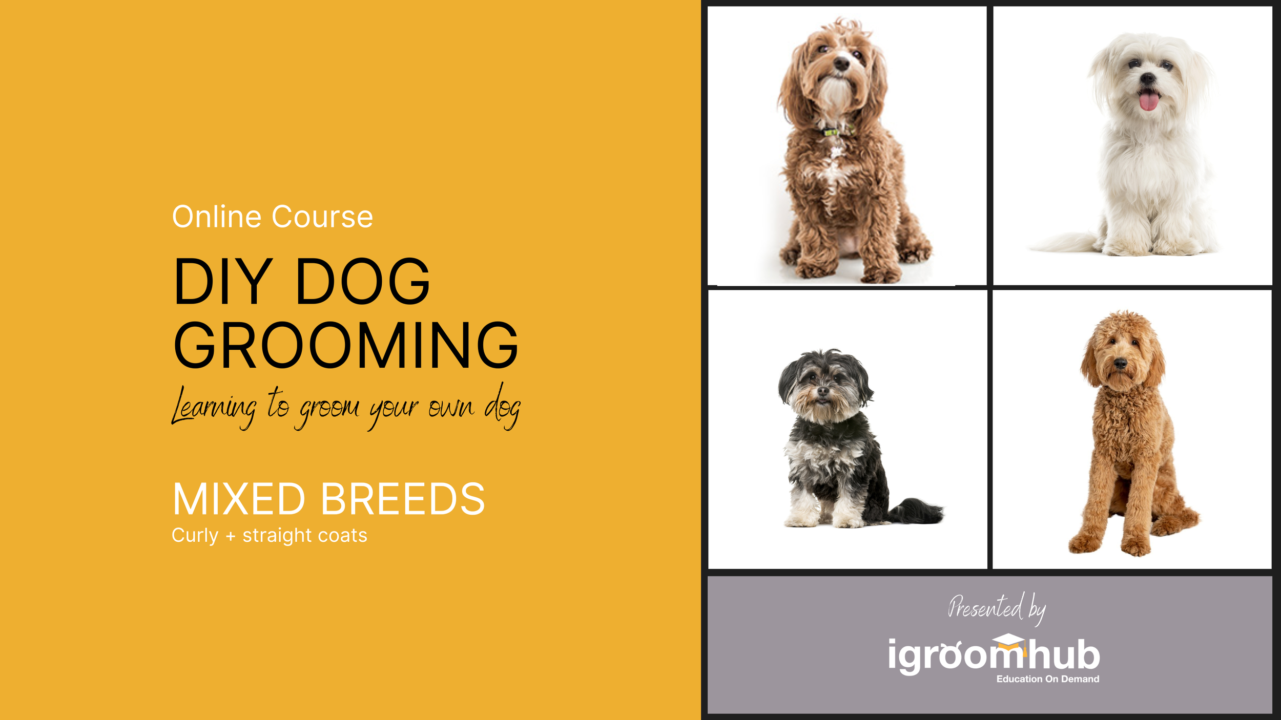 DIY Home Grooming Course