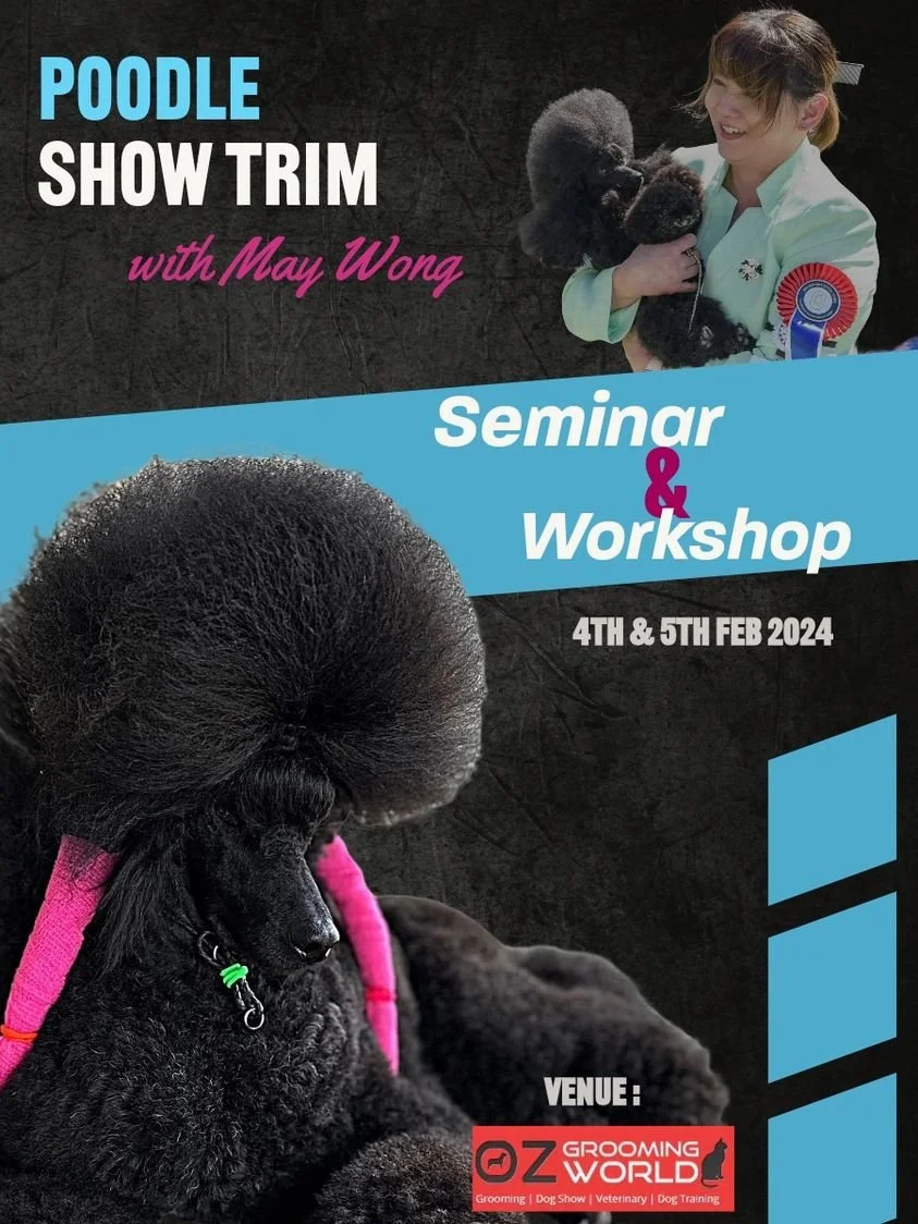Poodle Show Trim with May Wong