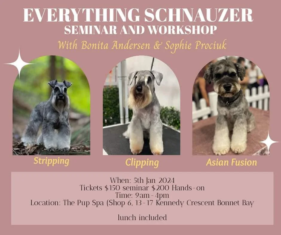 Everything Schnauzer Seminar and Workshop