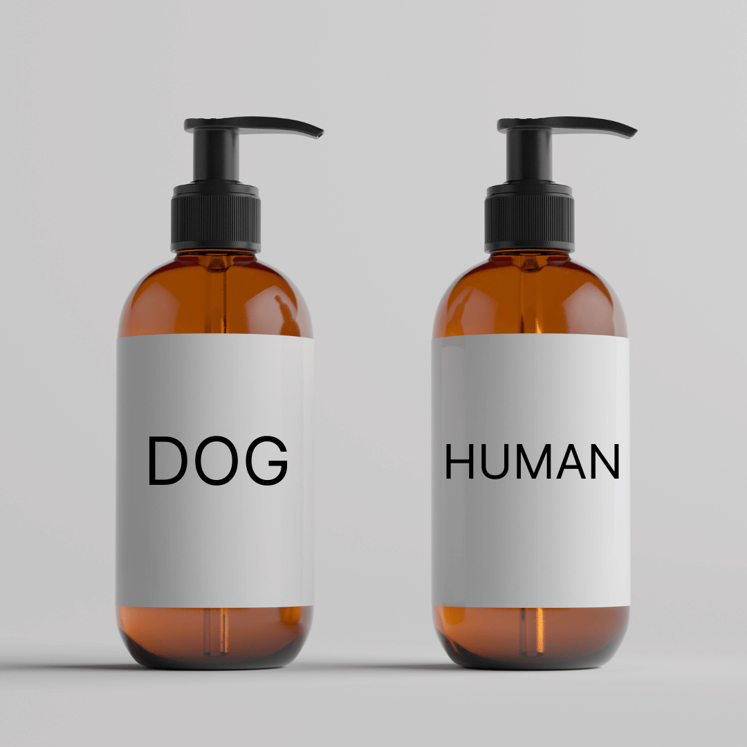 A closer look at Most Effective Human Shampoo For Old Dogs