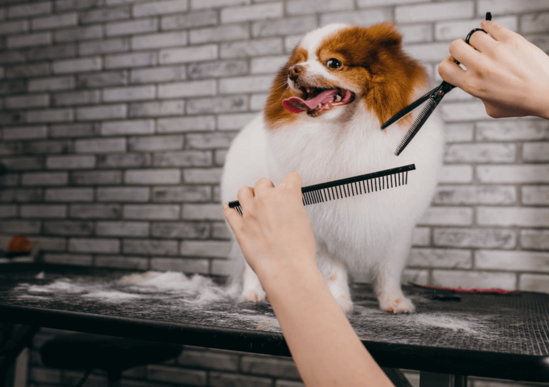Groomers Store