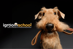 igroomschool Partnerships