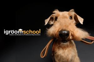 Teach with Us