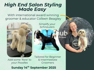 Live Streaming Seminar in the igroomroom | Sunday 14th September