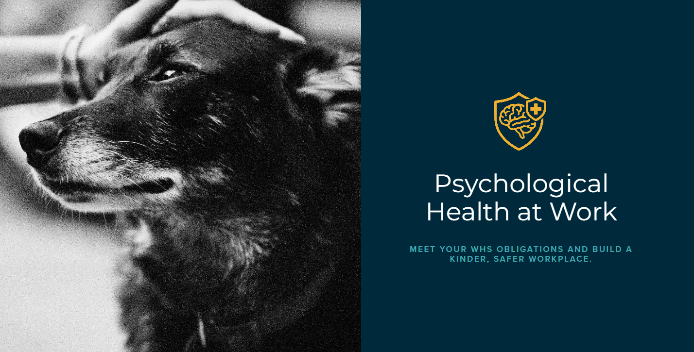 igroombiz Update: Psychological WHS