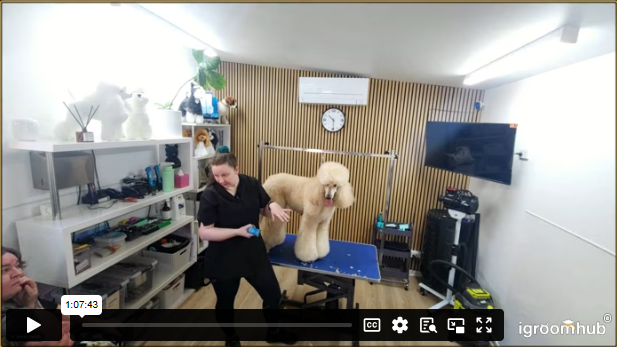 Seminar Replay: High End Salon Styling Made Easy