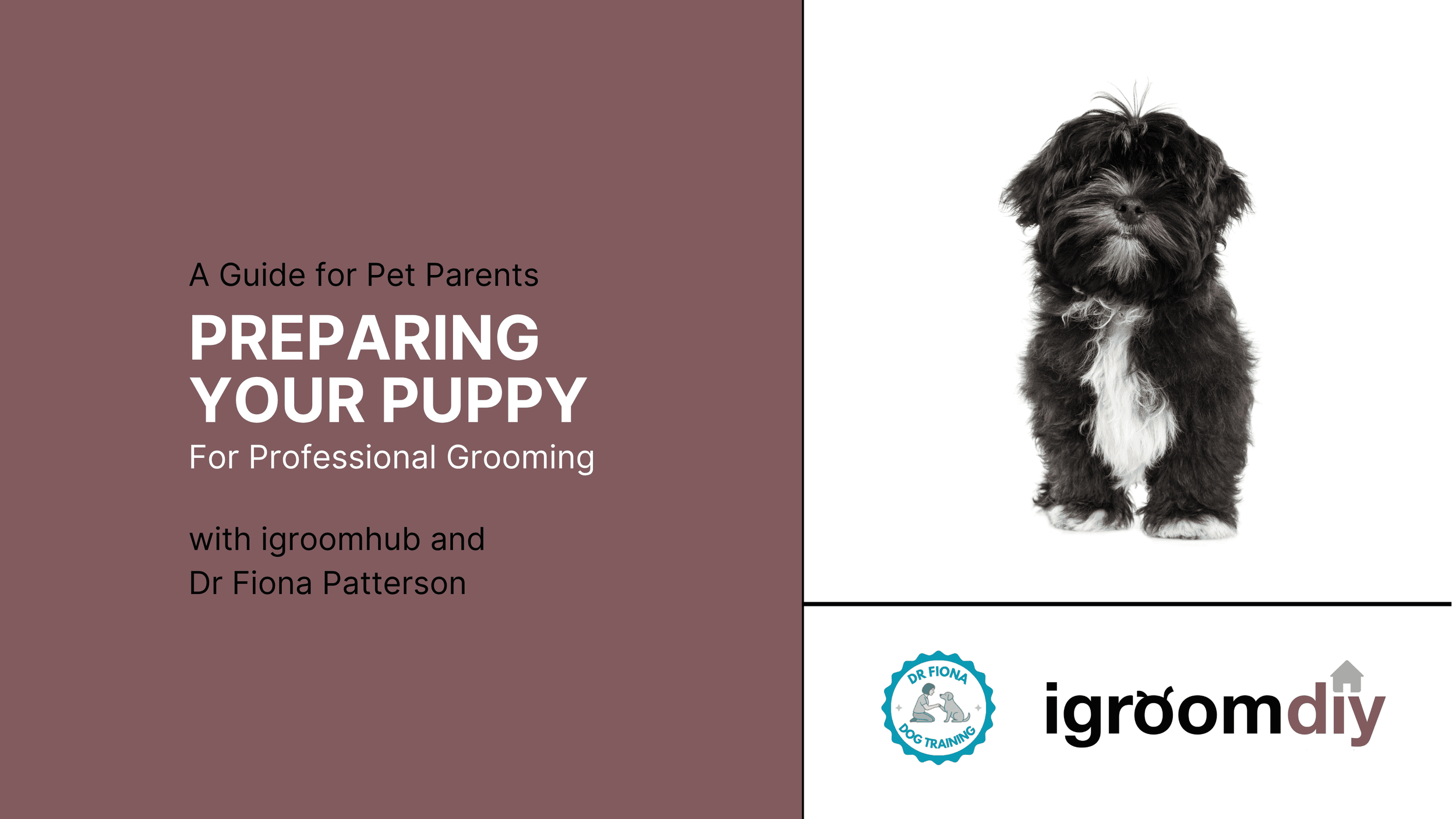 Join the waitlist for this exciting new course