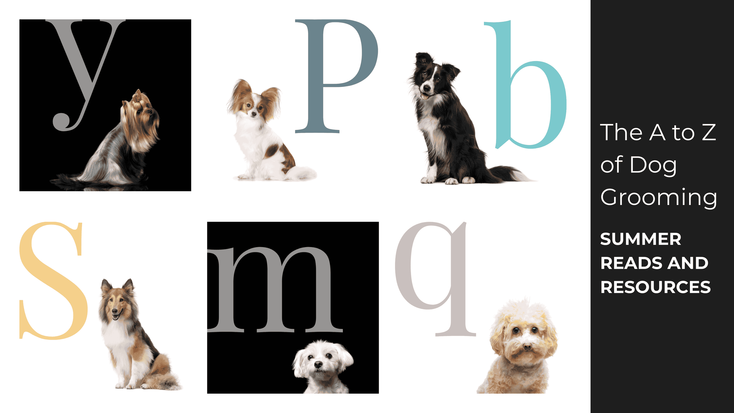 Summer Reading &amp; Resources for Groomers