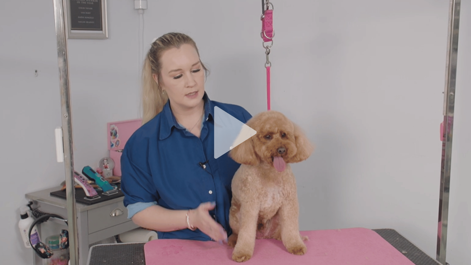 Tay and Teddy | Tight Teddy Trim