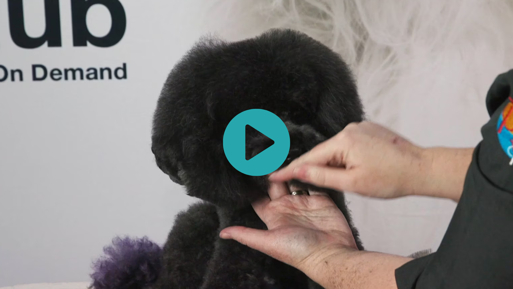 Jimmy gets a Peanut Head with flared legs from his very good friend Michelle (5 videos)