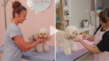 Poppy is styled in 2 different ways over 2 tutorials with Prue. Each time, Poppy brings the Booty Beauty! Style 1 Bow Booty (4 videos), Style 2 Heart Booty (4 videos)