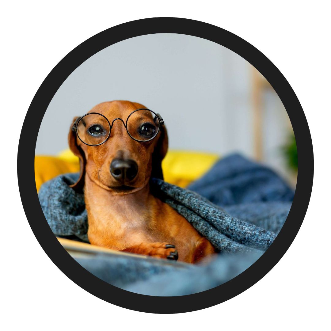 Professional Dashboard