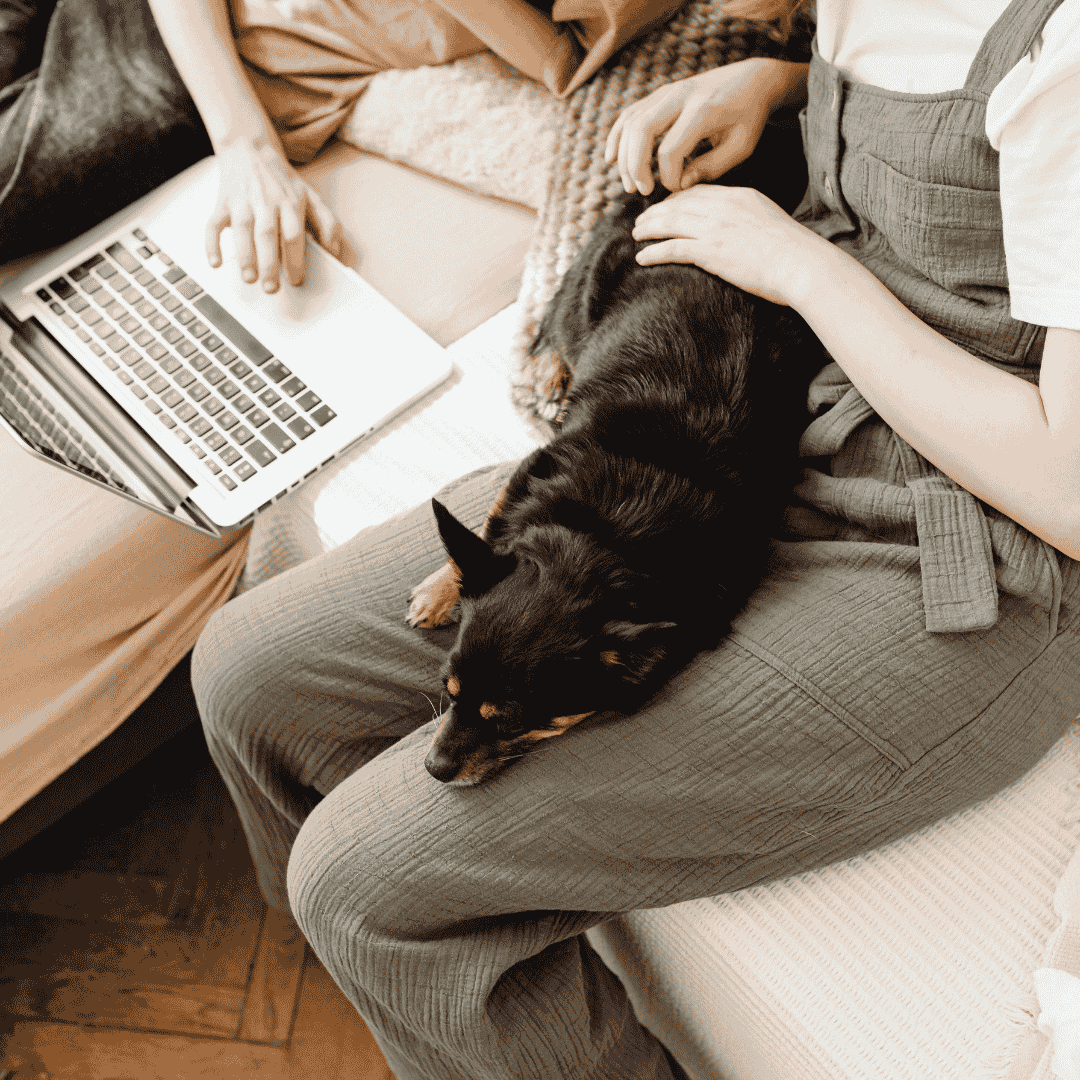 No Time to Learn? Then You’re Standing Still