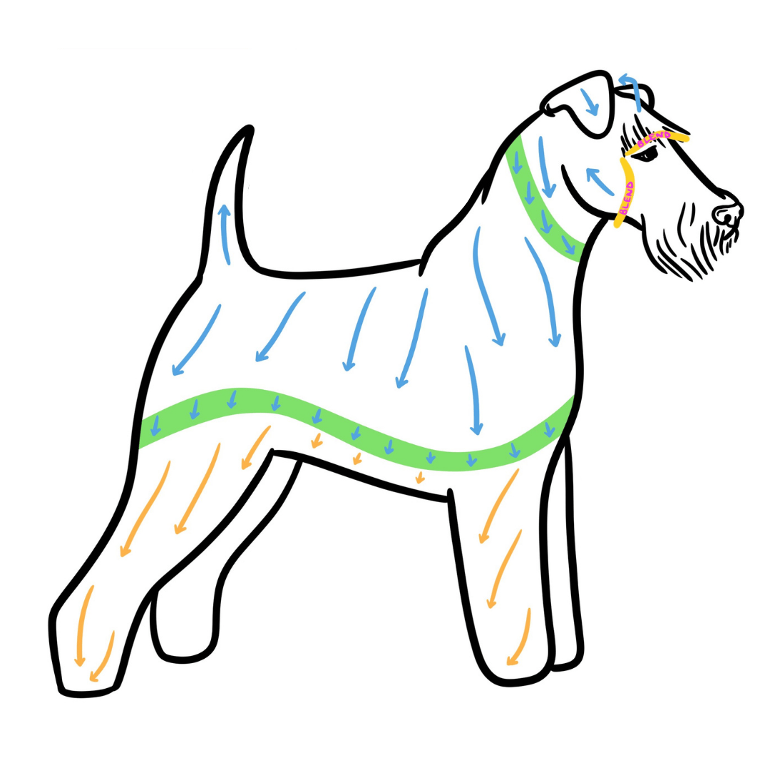 The Origins of Breed Clips (and Who Decided This?)