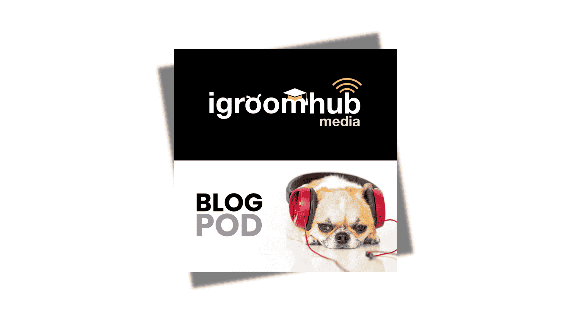 Selected blogs now available to listen to (more to come)