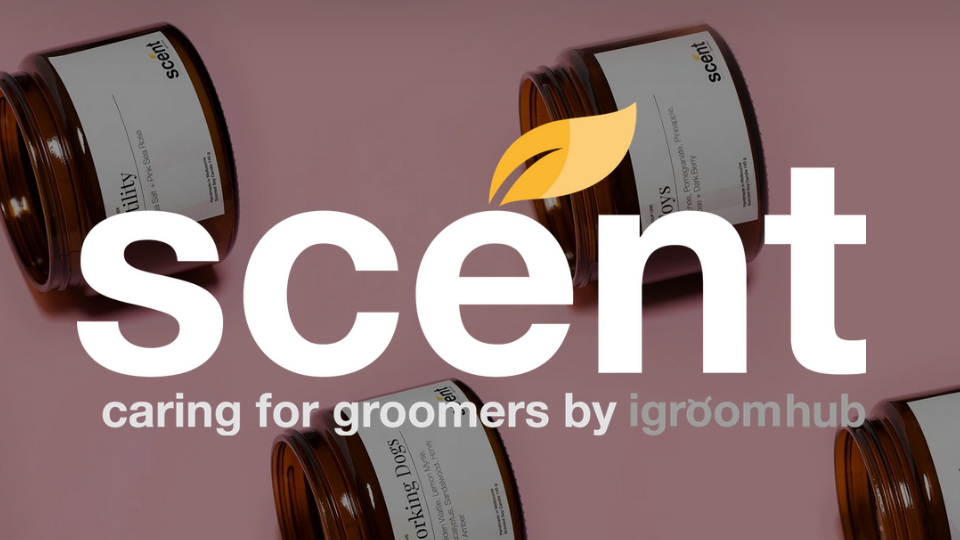 Caring for Groomers, by igroomhub