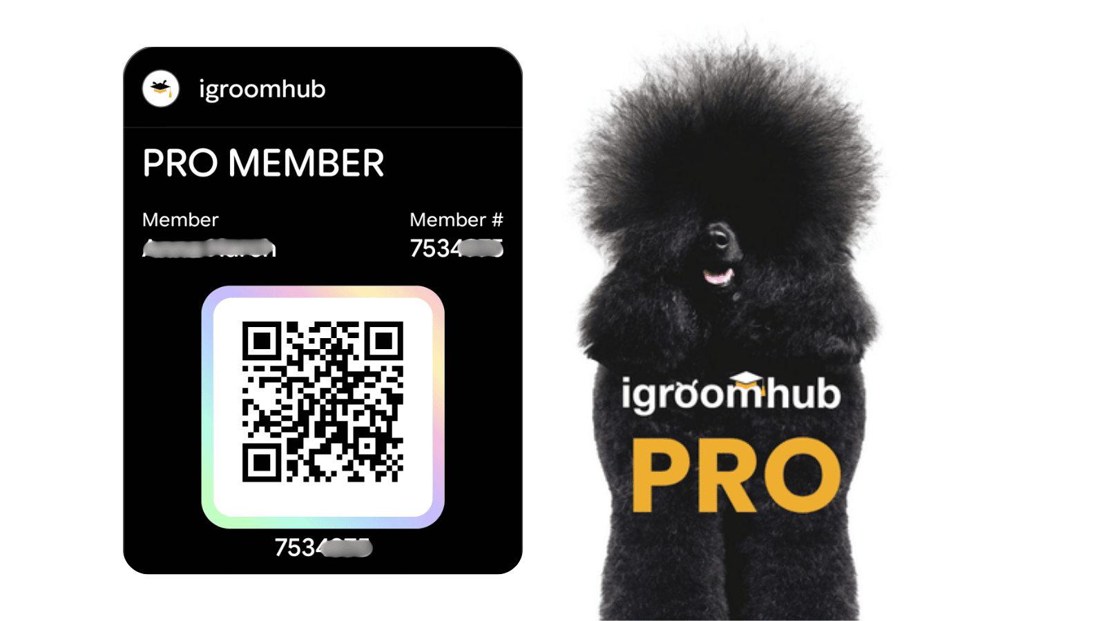 Digital Wallet Membership Cards