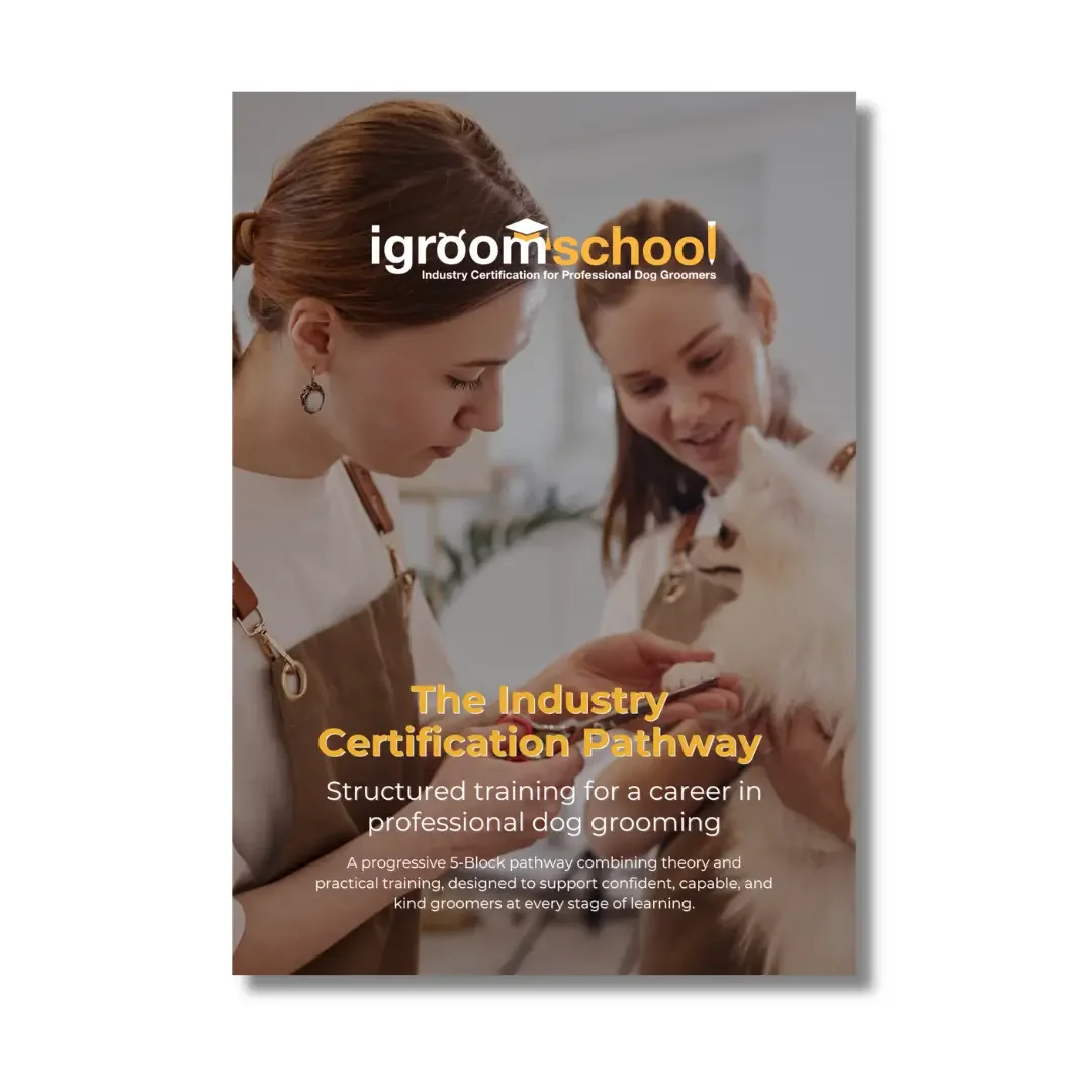 The Industry Certification Pathway: how and why it was built