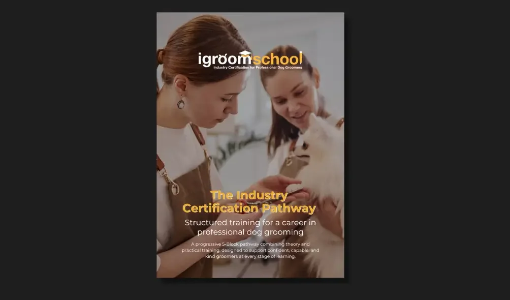 The Industry Certification Pathway: how and why it was built