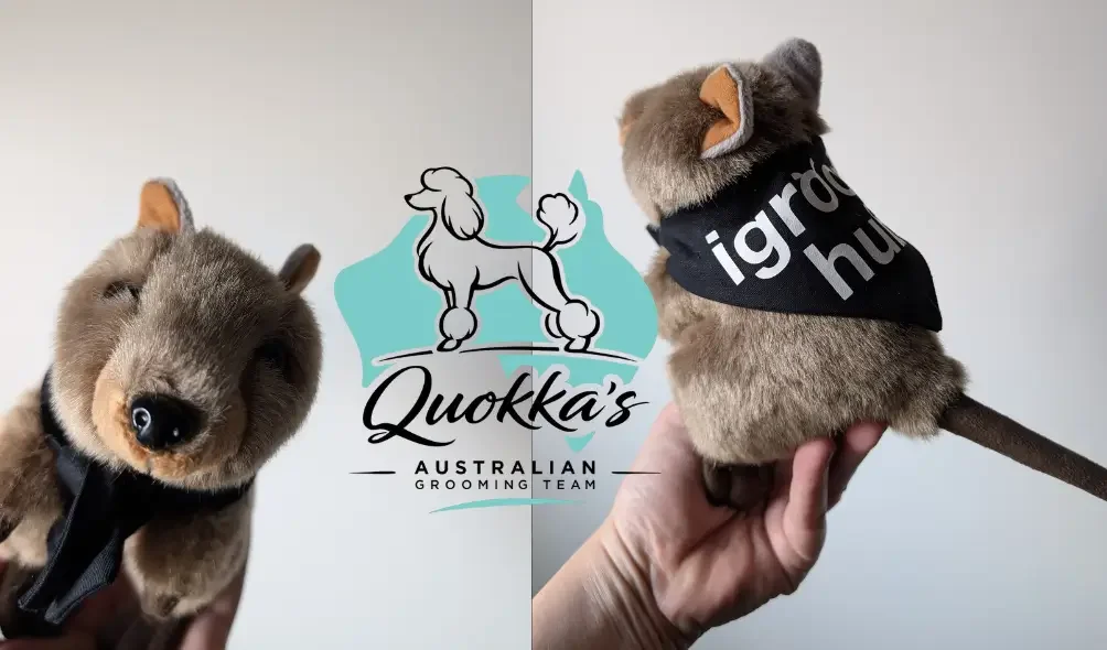 Quokkas Australian Groom Team Sponsorship