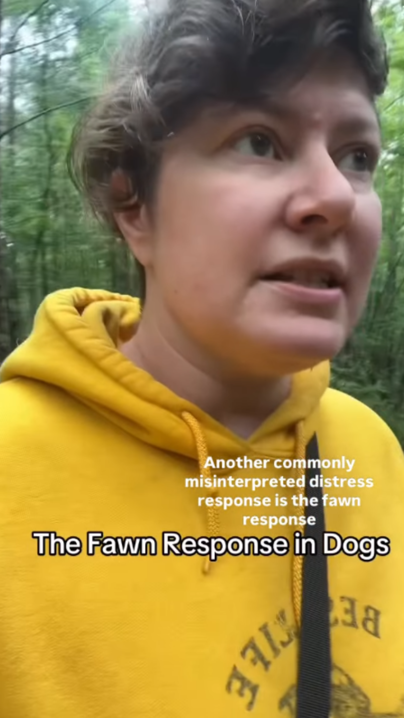 @bestlifedogservices