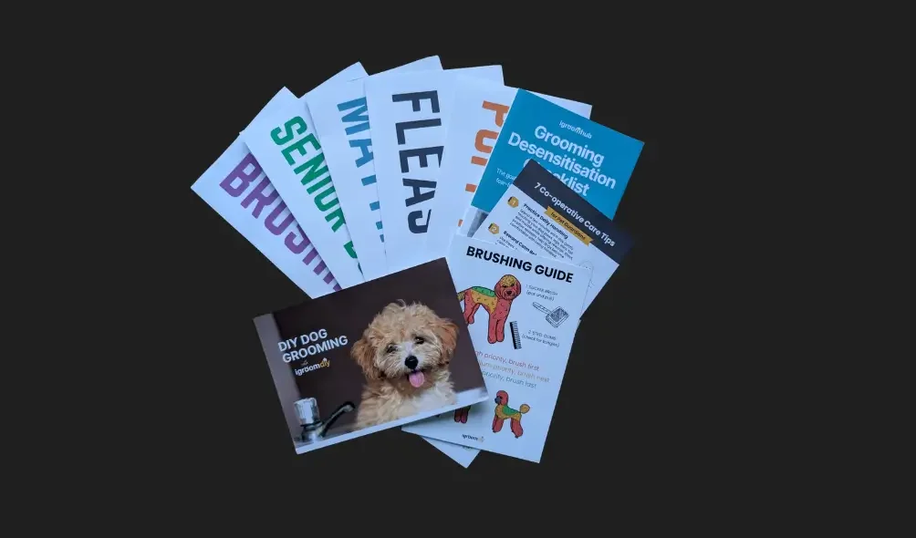 Your free client education sampler is here