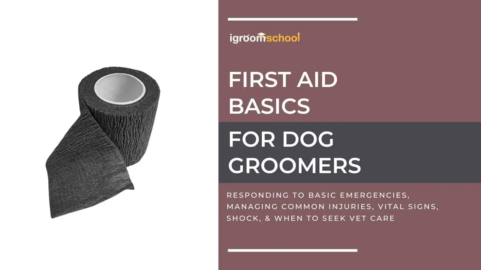 First Aid Basics for Dog Groomers