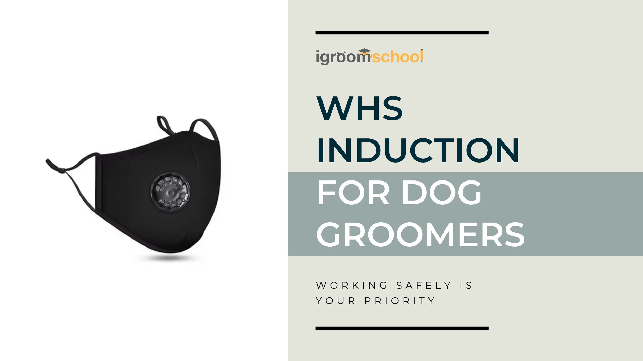 WHS Induction for Dog Groomers