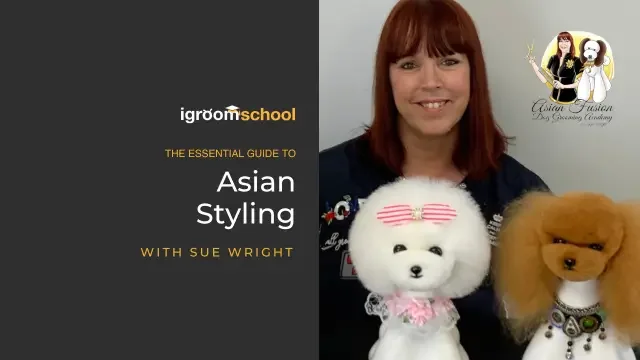 The Essential Guide to Asian Styling