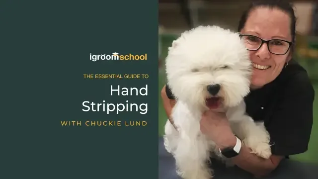The Essential Guide to Hand Stripping