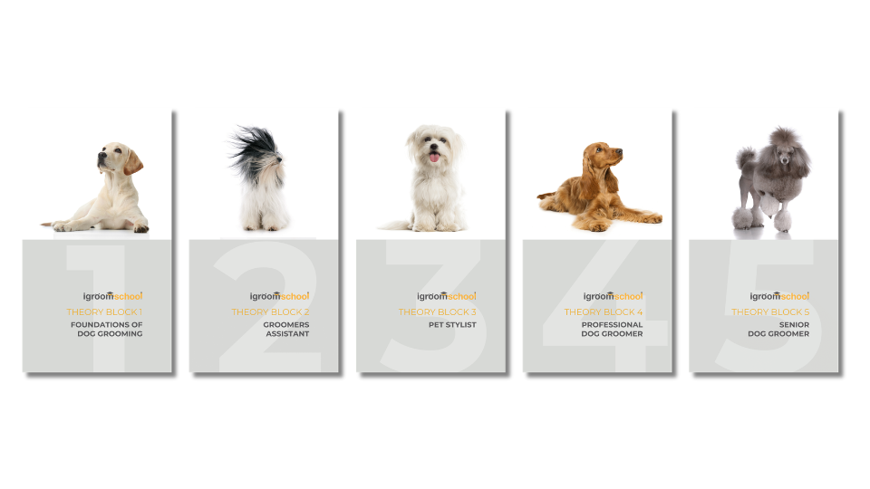 Dog Grooming Theory