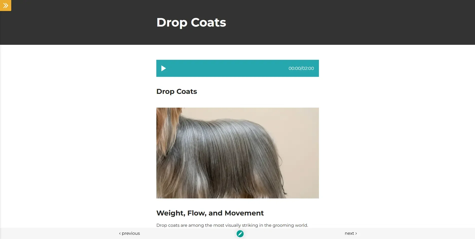understanding the k9 coat course 1.webp