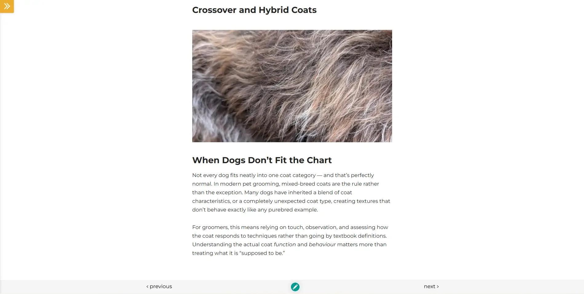 Understanding the canine coat course 2.webp