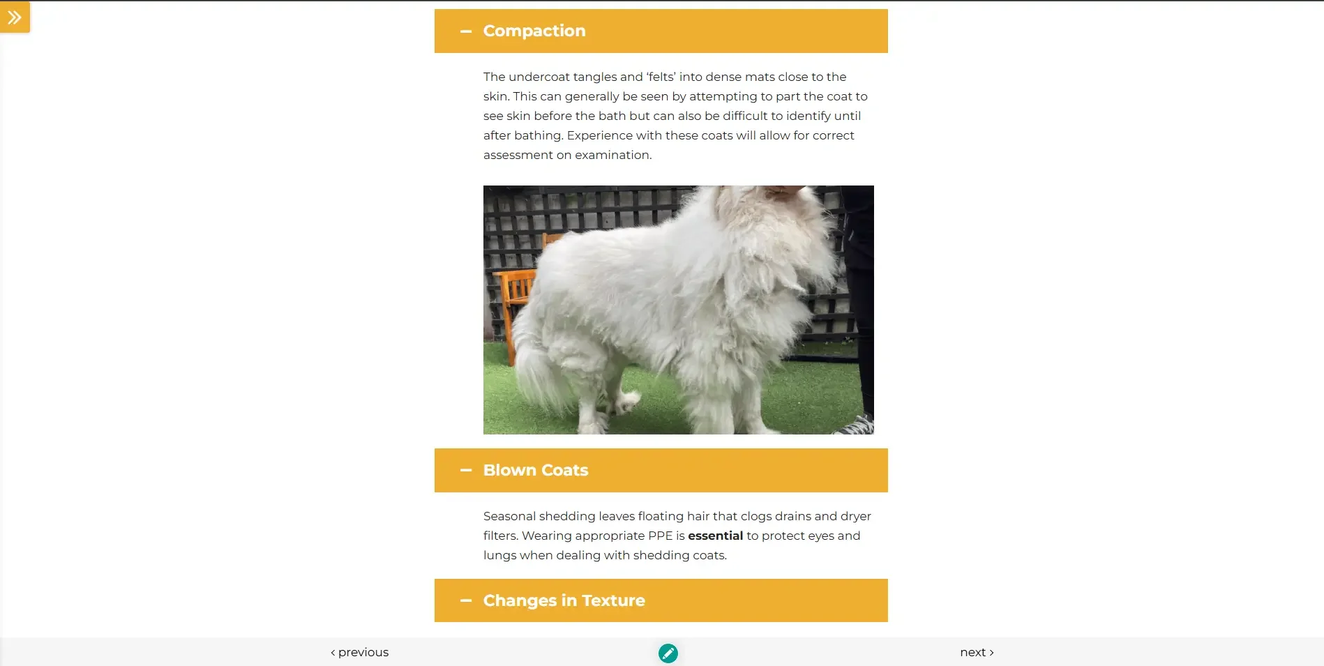 understanding the canine coat course 3.webp