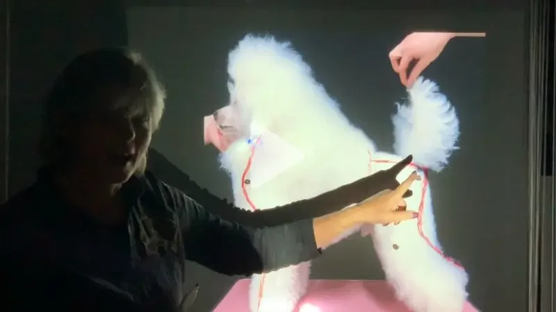 poodle correction.webp