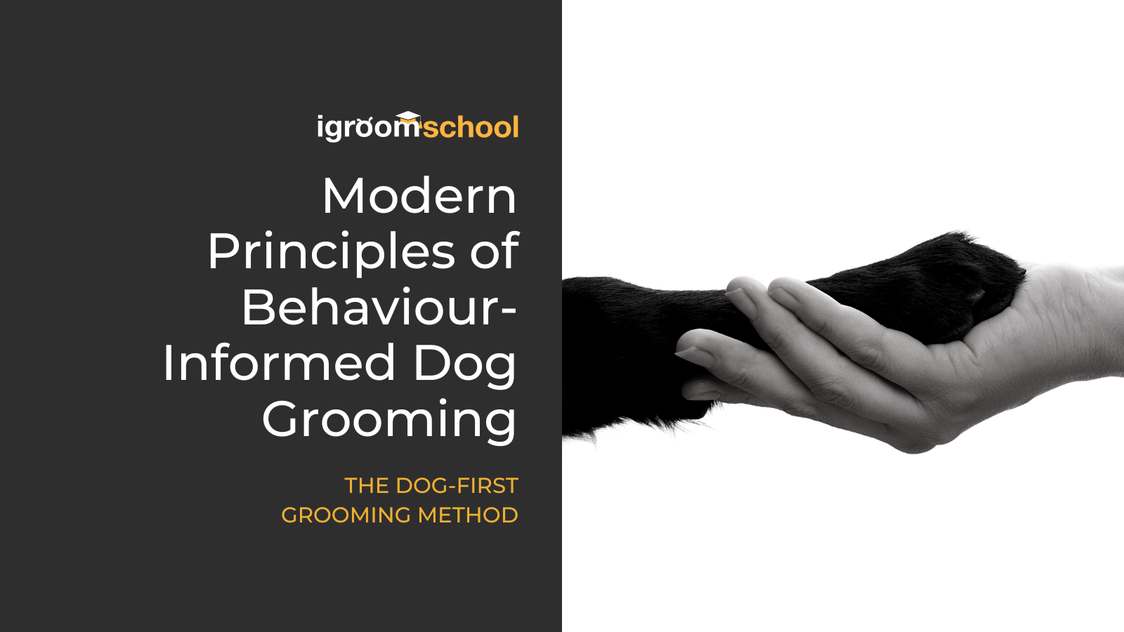 Modern Principles of Behaviour Informed Dog Grooming