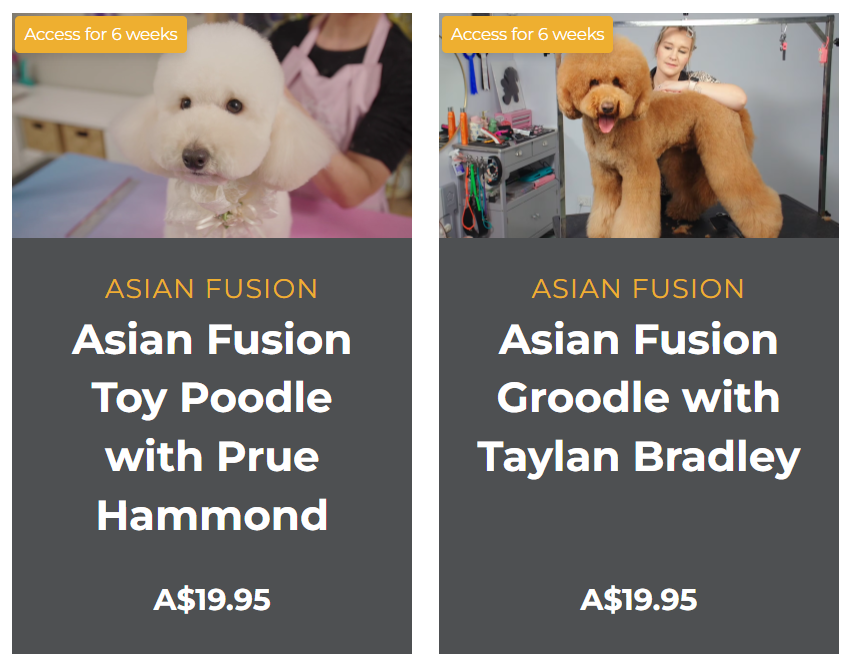 masterclass igroomhub taylan bradley.png