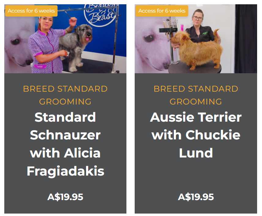 masterclass igroomhub chuckie lund.png
