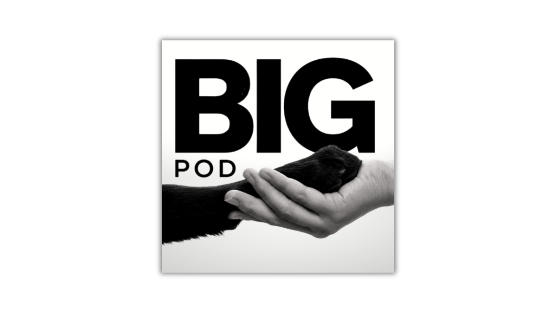 The BIG POD is here