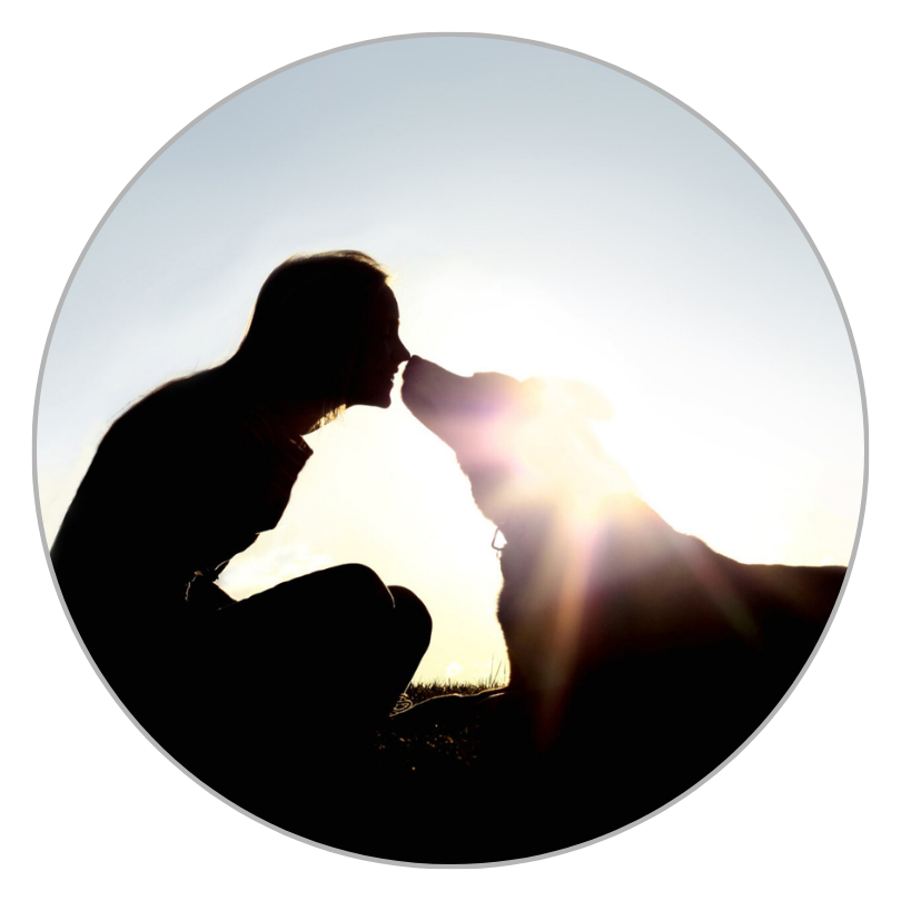 Groomer Health