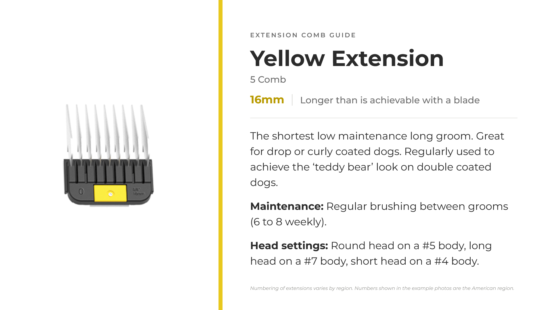 05-yellow-extension.png