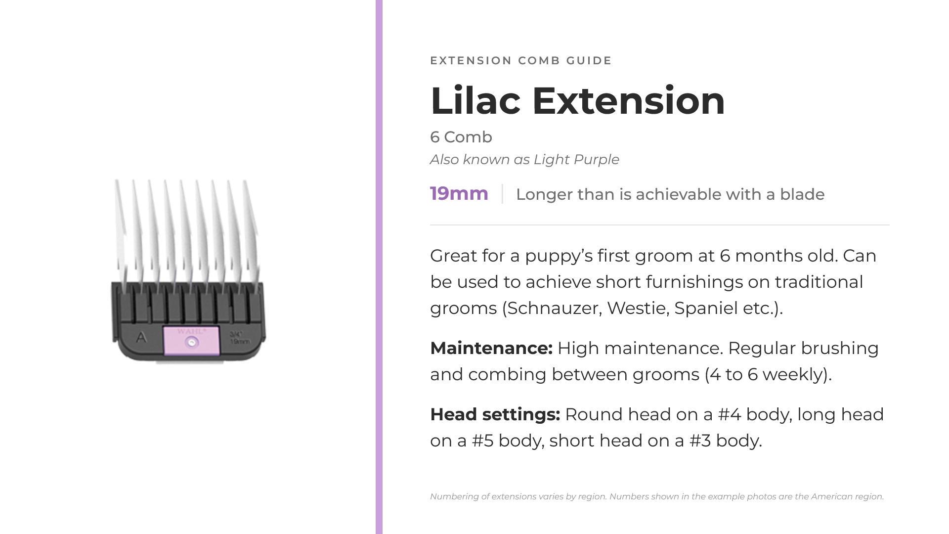 06-lilac-extension.png