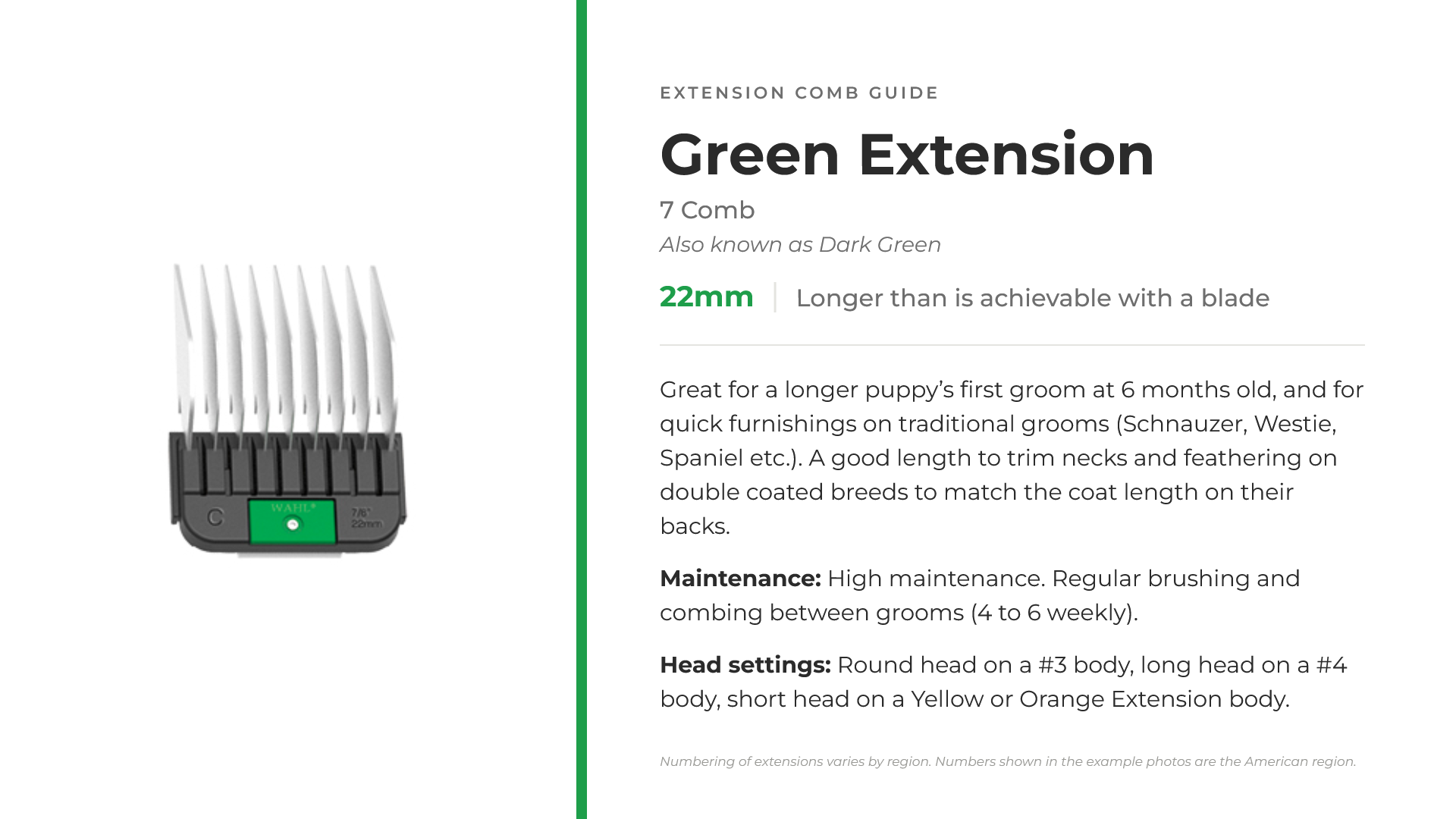 07-green-extension.png