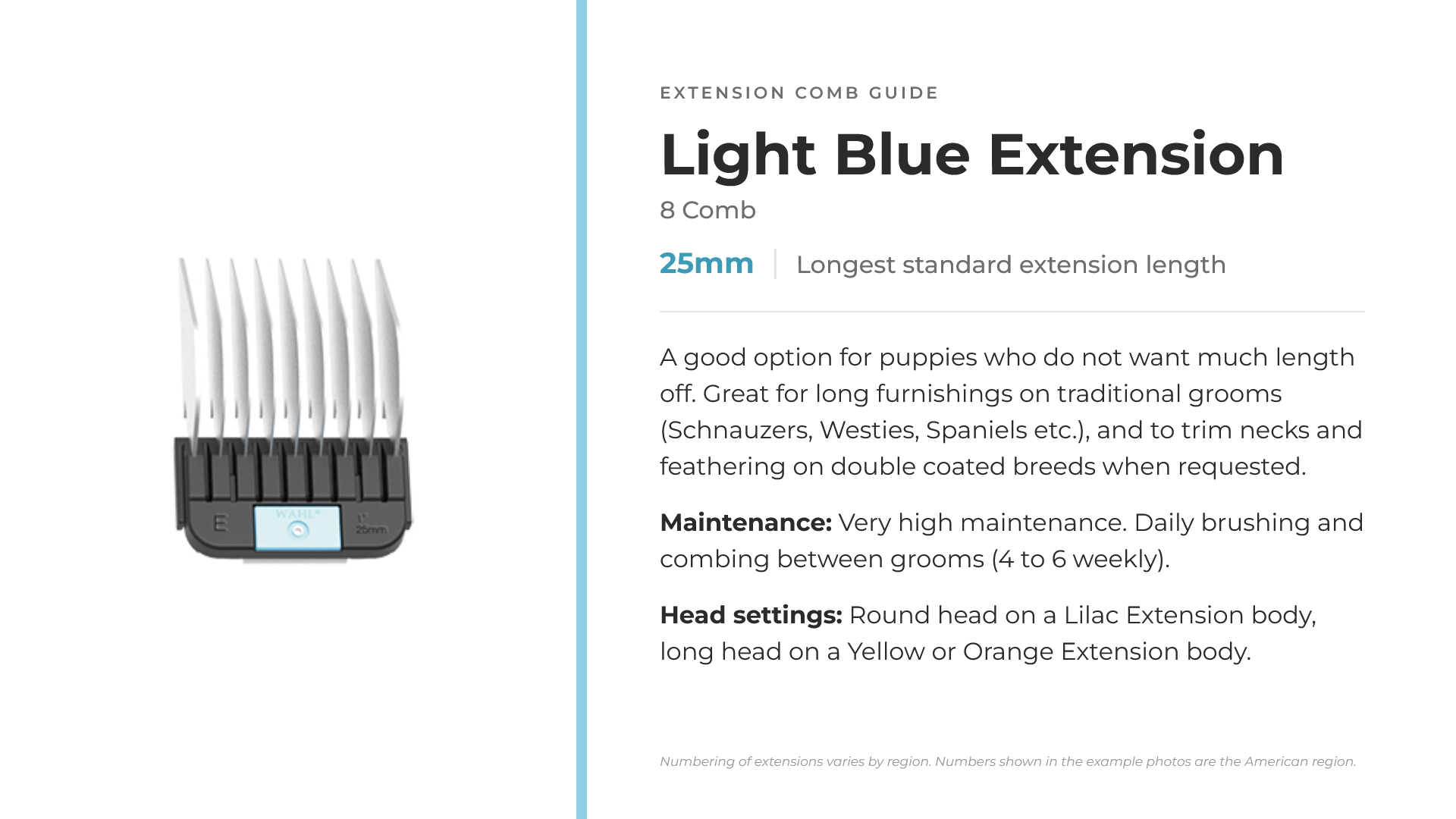 08-light-blue-extension.png