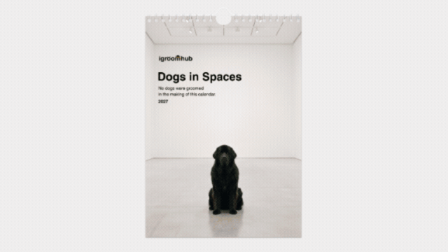 Dogs in Spaces | 2027 Calendar