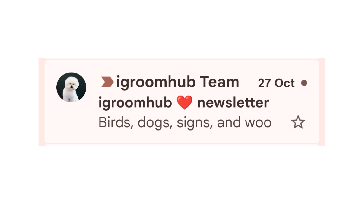 Newsletter day
